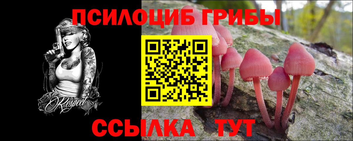 Галлюциногенные грибы Magic Shrooms Тверь
