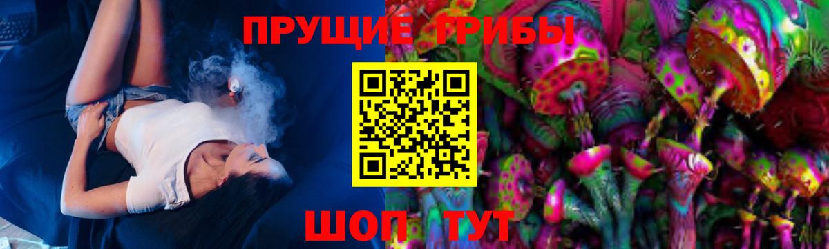 Псилоцибиновые грибы Cubensis  Вход с VPN  Тверь 